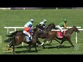 20250215 hollywoodbets kenilworth race 6 won by givethatmanabells