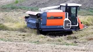 Used combine harvester of Kubota AR-90