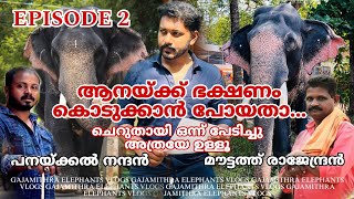 തെക്കടത് അമ്മയുടെ തിരുവാഭരണ ഘോഷയാത്രയിൽ സംഭവിച്ചത്.#rajendran #nandan