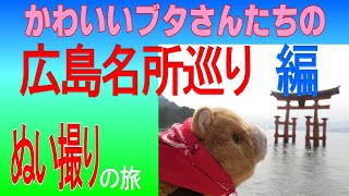 【世界遺産】巡り【広島城】【原爆ドーム】【安芸の宮島】【ぬい撮りの旅】【超おススメ】