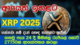 XRP මී ළඟ BITCOIN  වෙයිද?   ගන්නවානම් දැන්  හොඳ තැනකට ඇවිත් තියෙන්නේ