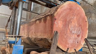 Sawn Red Oak Wood In The Factory | Biggest Saw Cutting Large Amount Of Wood | Raw Wood Products