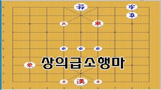 상의 급소공격으로 초차는 무용지물 - 장기박보