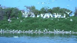 Chip Lake- incredible bird sanctuary.