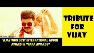 Vijay gets Best International actor award IARA awards