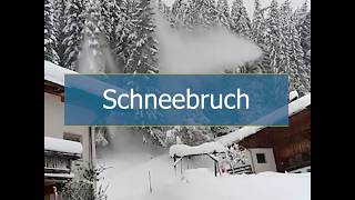 Alpen: Akute Schneebruch-Gefahr (16.11.2019)