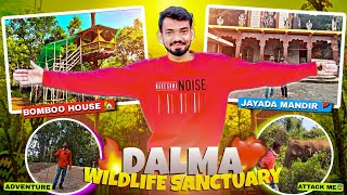 Dalma Wildlife Sanctuary😨||Dalma Jamshedpur Jharkhand||Dalma Tour Guide||Adventure Trip😎