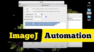 Batch processing in imageJ, automatic image processing with a single click|microscope image analysis