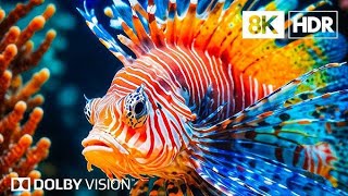 Crystal Ocean Ultra 8K - Beautiful Marine Life for Relaxation