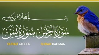 Surah Yaseen | Yasin | Episode 07 | Surah Yasin Surah Rahman Daily Quran Tilawat Full With Arabic Hd