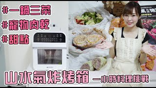 【開箱】山水氣炸烤箱-氣炸鍋初體驗-挑戰一鍋三菜、寵物肉乾、甜點-一小時料理大滿足