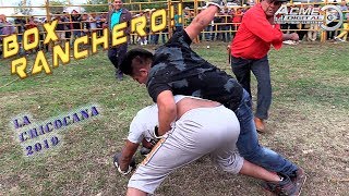 BOX RANCHERO LA CHICOCANA 2019 SEGUNDA PARTE (DAVID V.S GOLIAT FINAL INESPERADO)