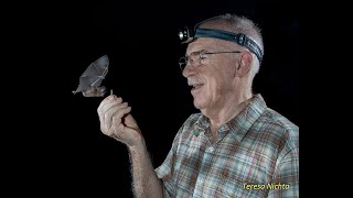 Merlin Tuttle's Bat Conservation Presentation For The Nashville Grotto