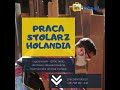 Praca stolarz Holandia. Praca stolarz. Stolarz