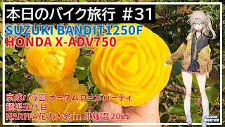 本日のバイク旅行 #31「京成バラ園 オータムローズパーティ、麺場五代目、NARITA花火大会 in 印旛沼 2022へのツーリングの旅」【VOICEVOX春日部つむぎ】