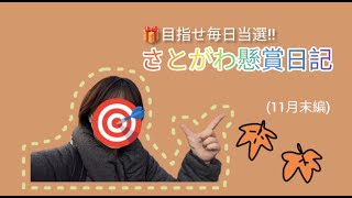 目指せ毎日当選!!【さとがわ懸賞日記 11月末編】