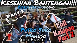 KESENIAN BANTENGAN!! MALANGAN, BORO TERONGDOWO, PUTRO SURO MAHESO BORO BUGIS (PART 3)