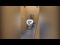 toilet flood compilation 2 brown water