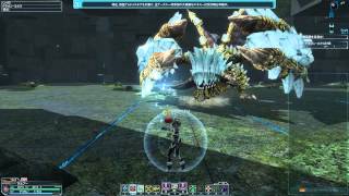 【PSO2】SHドラゴンエクス　ギ・メギドのみ FoTe