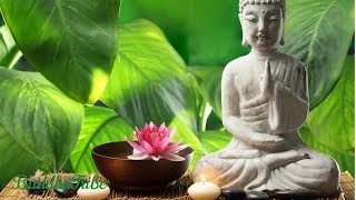 Calm Music, Zen Music, Mindfulness Relaxing Music for Meditation, Relax Mind Body Music, Reiki