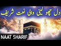 Heart Touching Naat Sharif 2026 | Beautiful Urdu Naat | Emotional Kalam in Praise of Prophet 