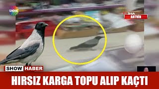 Hırsız karga topu alıp kaçtı