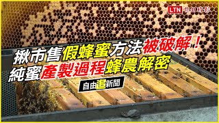 自由追新聞》揪市售假蜂蜜方法被破解！純蜜產製過程蜂農解密