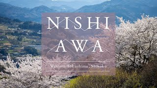 Rhythms of Spring | Nishi-Awa, Japan