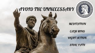 Avoid The Unnecessary /#Stoicism #Meditation #Minimalism #marcusaurelius #jordanpeterson  #stoicpath