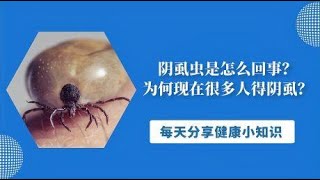 阴虱虫是怎么回事？为何现在很多人得阴虱？离不开2个传播途径