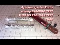 Aphaenogaster rudis bamboo test tube #antscanada