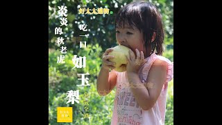 【悠然見梨山】高海拔「如玉梨」 溫帶水果，還是可比擬溫帶氣候的 梨山 種出來最OK|好太太選物