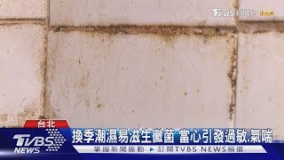 換季潮濕易滋生黴菌 當心引發過敏.氣喘｜TVBS新聞