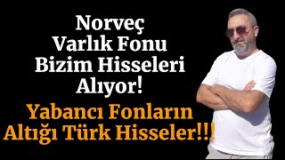 Norveç Varlık Fonunun Aldığı TÜRK Hisse Senetleri