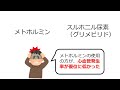 【認定看護師が伝える】脳卒中ガイドライン2021の解説　糖尿病編