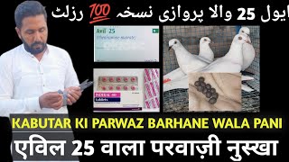 KABUTAR KI PARWAZ BARHANE WALA AVIL 25 WALA PARWAZI NUSKHA|| PARWAZI PANI|| #aliimranpigeonsvlog