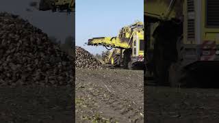 Ukraine’s Sugar Beet Machines Harvest Millions