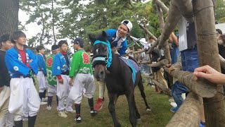 高取おまんと祭り2024  駆け馬