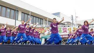 [4K]大阪教育大学YOSAKOIソーランサークル凛憧　堺よさこいかえる祭り2017 いずみがおか広場会場（広角）