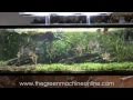 Aquascaping Shop Tour of The Green Machine