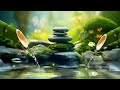 Soothing Relaxation - Relaxing Piano Music & Bamboo Water Fountain for Sleep, Meditation, Spa & Yoga