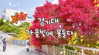 경기대학교를 찾아온 아름다운 가을