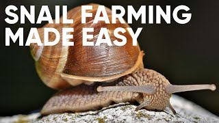Discover the Secrets of Successful Snail Farming: A Step-by-Step Guide