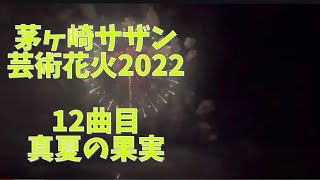 サザン芸術花火2022     真夏の果実