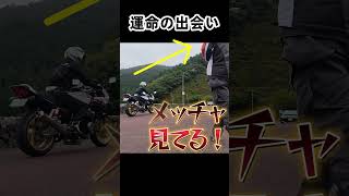 運命の出会いは突然に… #バイク #cb400sb