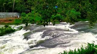 മഞ്ഞ പുഴയുടെ മഴയിൽ കുളിച്ച സൗന്ദര്യം | Beaty of Manjapalam Puzha during monsoon #WithMe #stayhome