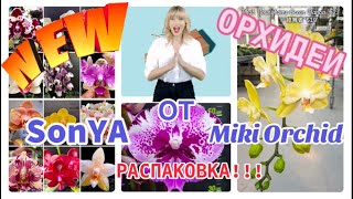 НОВЫЕ СОРТА #орхидеи  от SonYa, Miki Orchid 🤗 Адаптация в ноябре #орхидеи 3; 2,5; 1,7 #фаленопсис