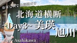 【北海道横断】-day3- 美瑛・旭川 / 4泊5日ほぼ公共交通機関だけで北海道を横断！ / 歴史・絶景・グルメ・大移動の3日目/ 北海道旅行vlog