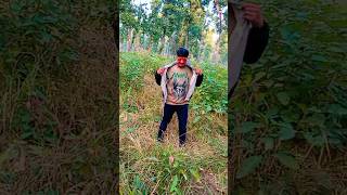 Enjoying in simara jungle😎 #jungle #enjoying #enjoyed #enjoy#dance#step #fullenjoyment#bhojpurisong