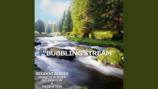 Bubbling Stream